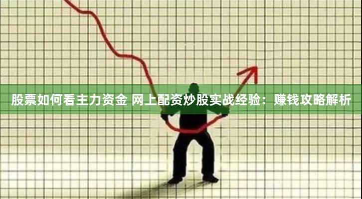 股票如何看主力资金 网上配资炒股实战经验：赚钱攻略解析