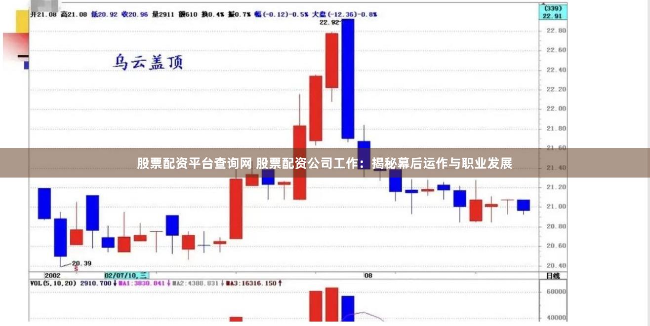 股票配资平台查询网 股票配资公司工作：揭秘幕后运作与职业发展