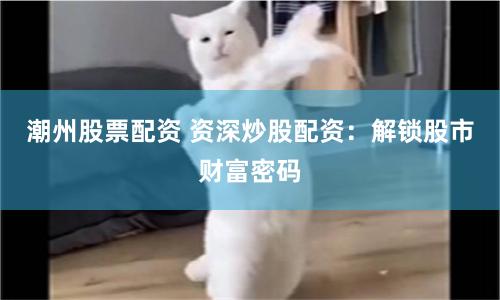 潮州股票配资 资深炒股配资：解锁股市财富密码