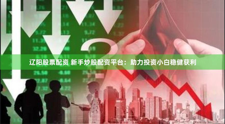 辽阳股票配资 新手炒股配资平台：助力投资小白稳健获利