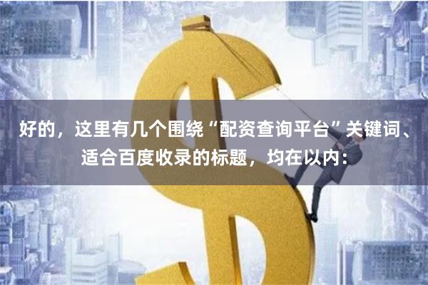 好的，这里有几个围绕“配资查询平台”关键词、适合百度收录的标题，均在以内：