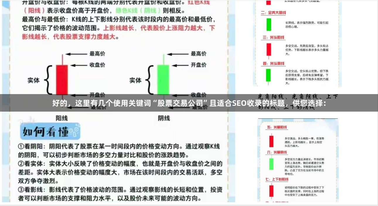 好的，这里有几个使用关键词“股票交易公司”且适合SEO收录的标题，供您选择：